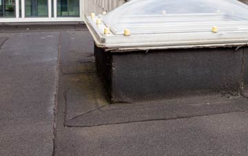 disadvantages of West Lyng flat roofs