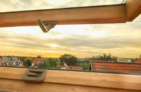 rated West Lyng roof window companies